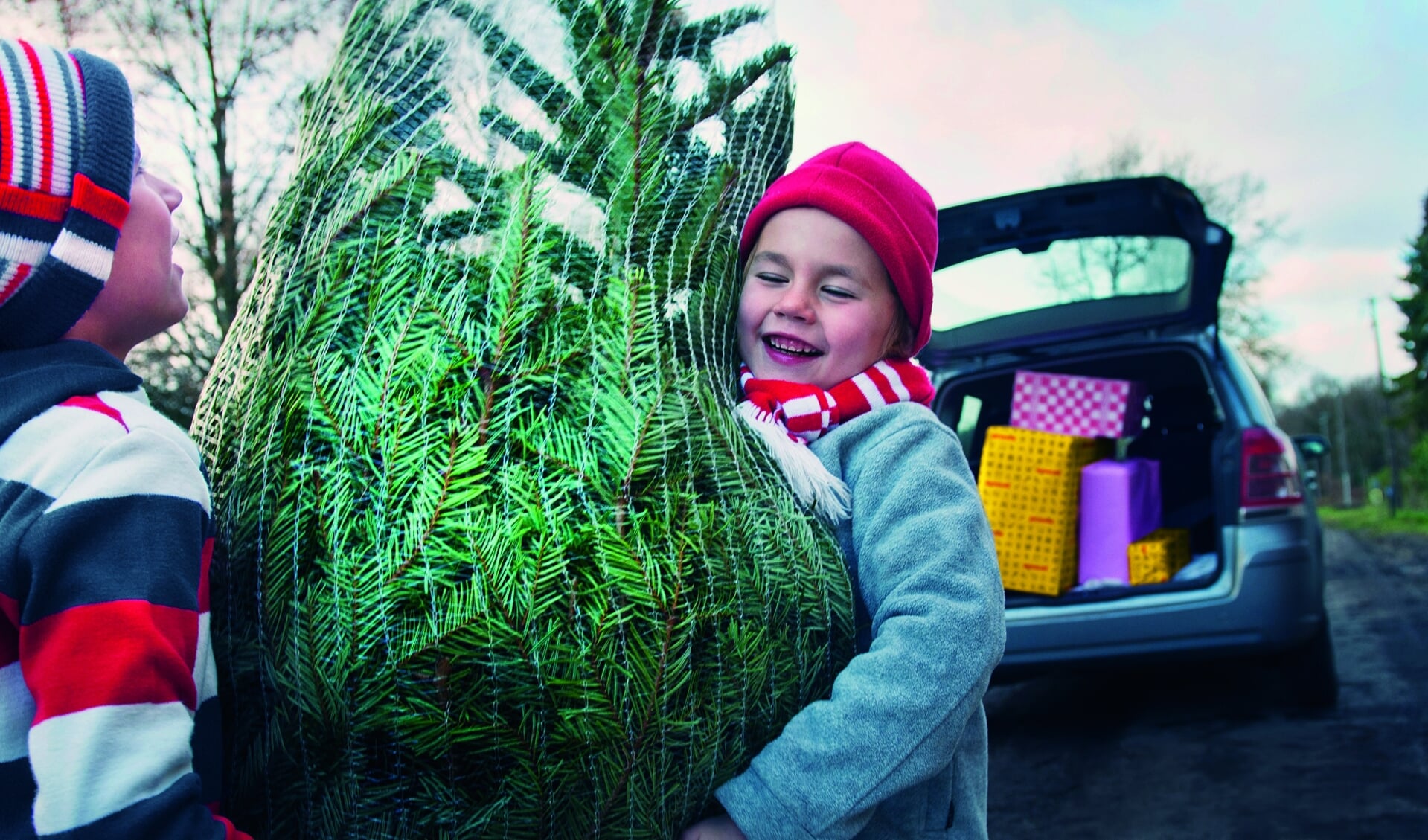 Two boys lifting Christmas tree to car