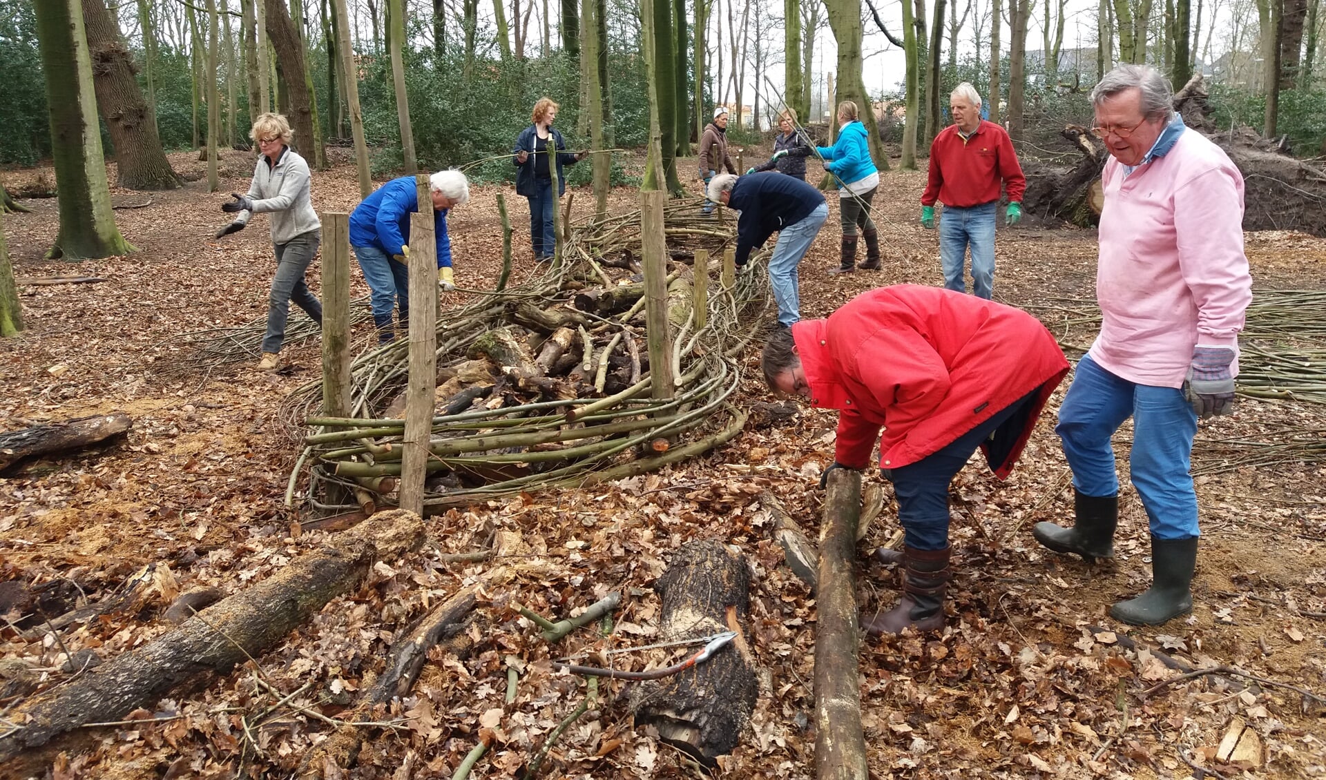 Leden van de Rotary Oegstgeest helpen mee in het Overbosch. | Foto: pr.