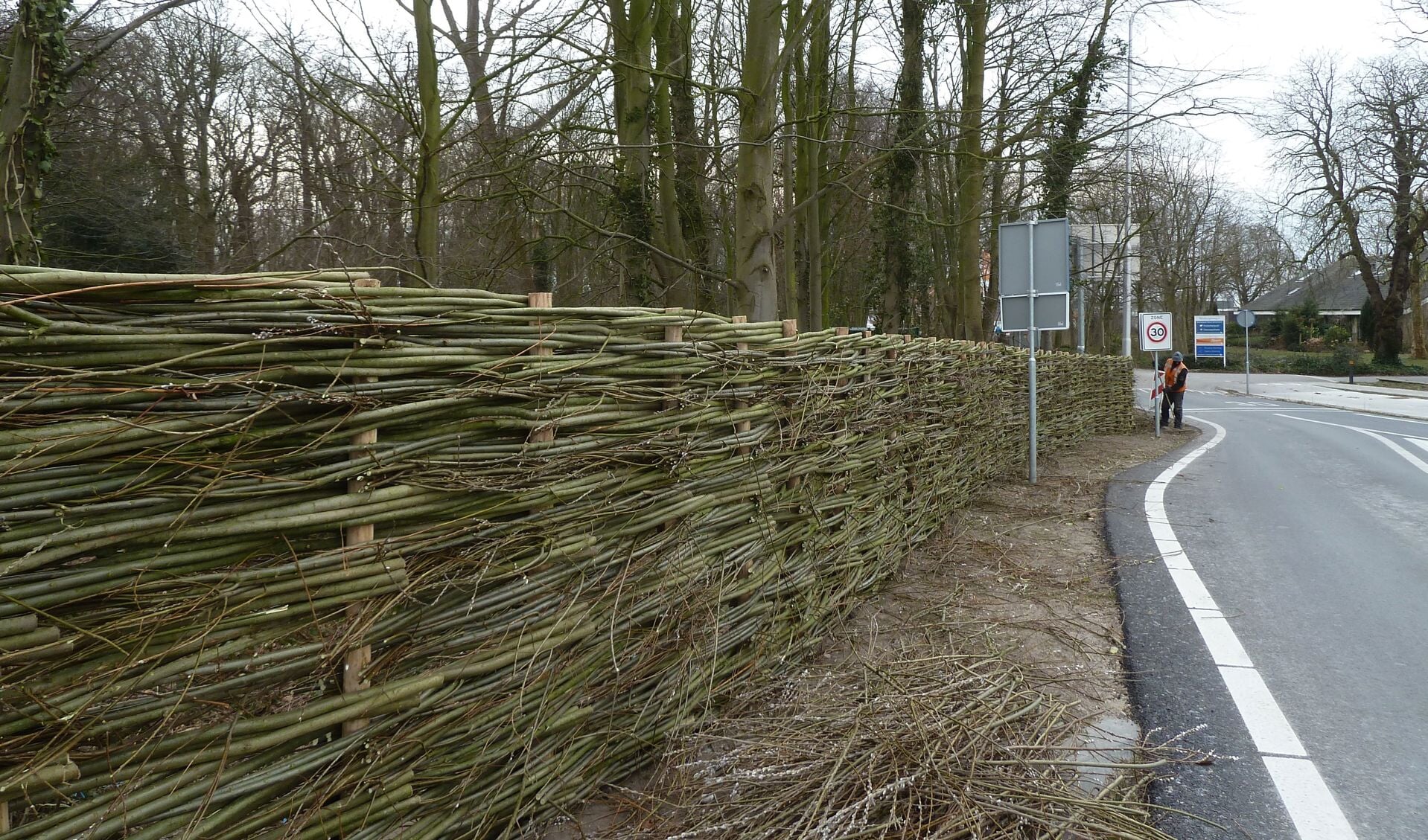Het nieuwe hek van wilgentakken aan de Rijnsburgerweg in Voorhout. | Foto: pr.