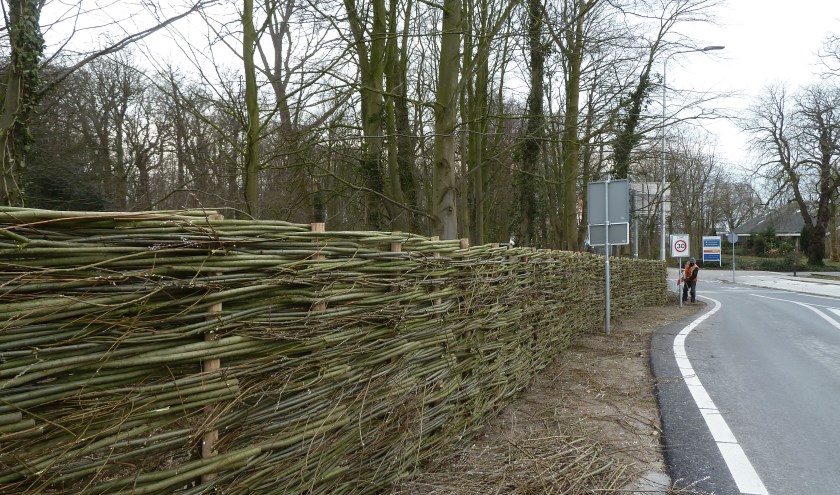 Het nieuwe hek van wilgentakken aan de Rijnsburgerweg in Voorhout. | Foto: pr.
