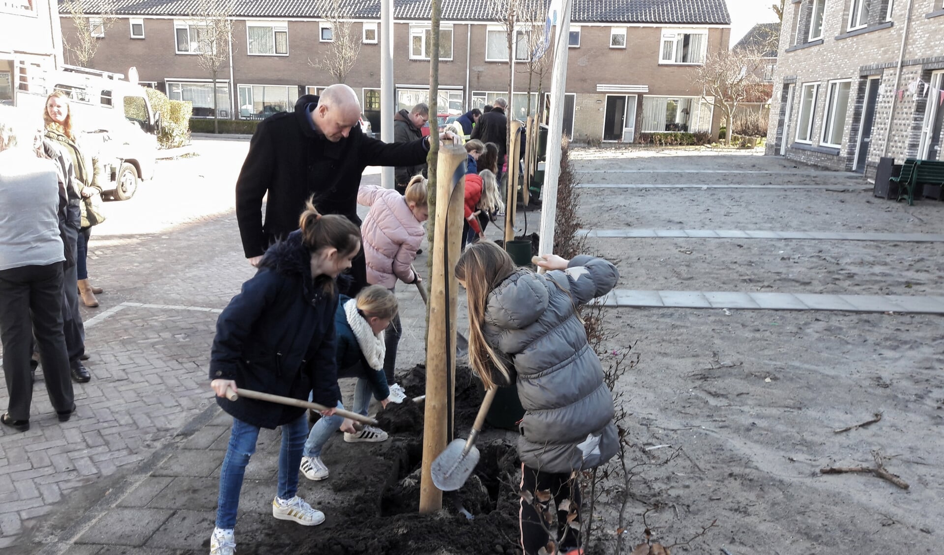 Chloé, Nynke, Jasmijn en Sophie helpen de wethouder met het planten van de boom. | Foto: MV