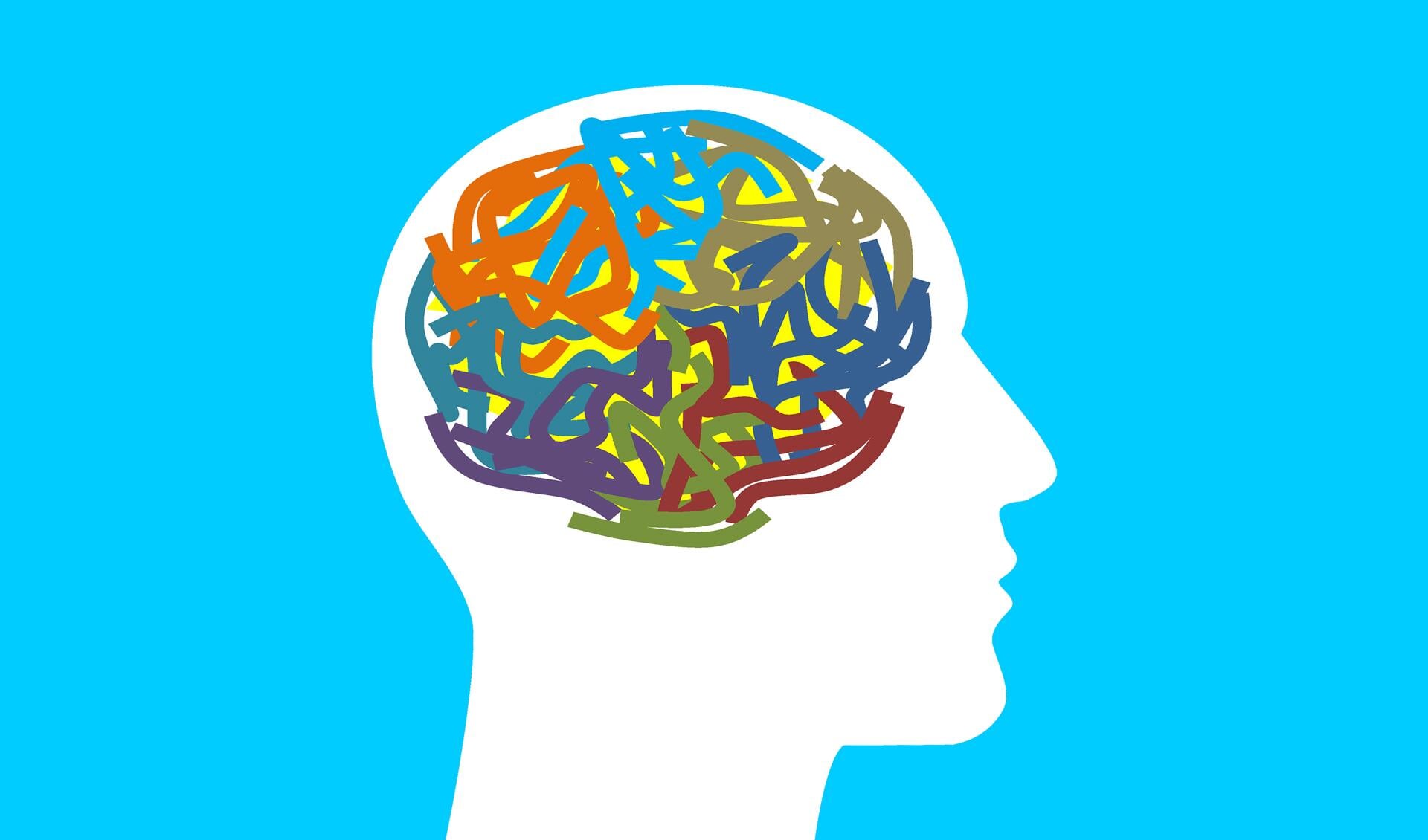 Hoe werkt je brein nou precies? Dat kom je te weten tijdens de workshops die in de Bibliotheek Bollenstreek worden gegeven. 