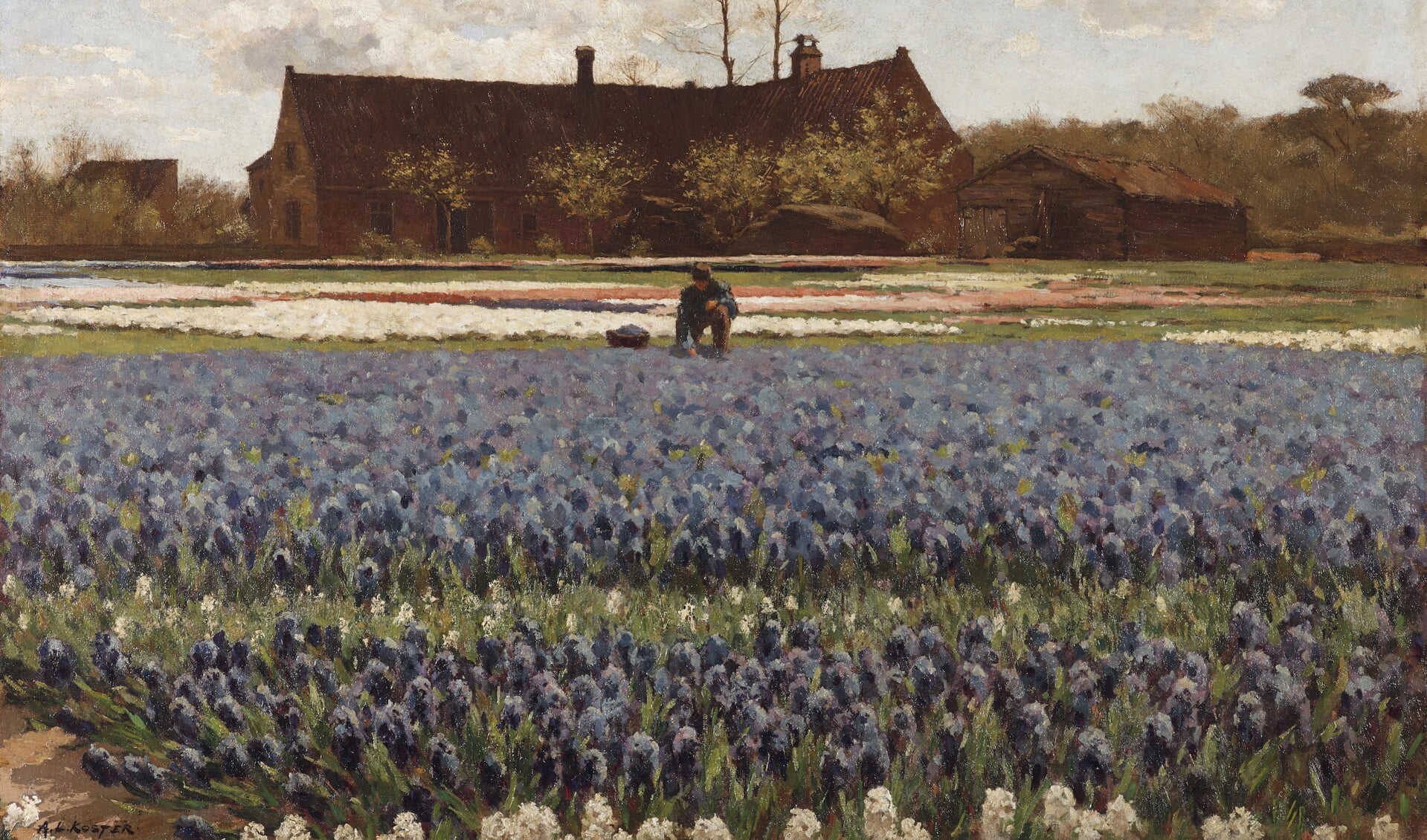 Bloeiende hyacinten en een boerderij, schilderij van A.L. Koster, permanent te zien in Museum De Zwarte Tulp als langdurig bruikleen van het Gemeentemuseum, Den Haag. 