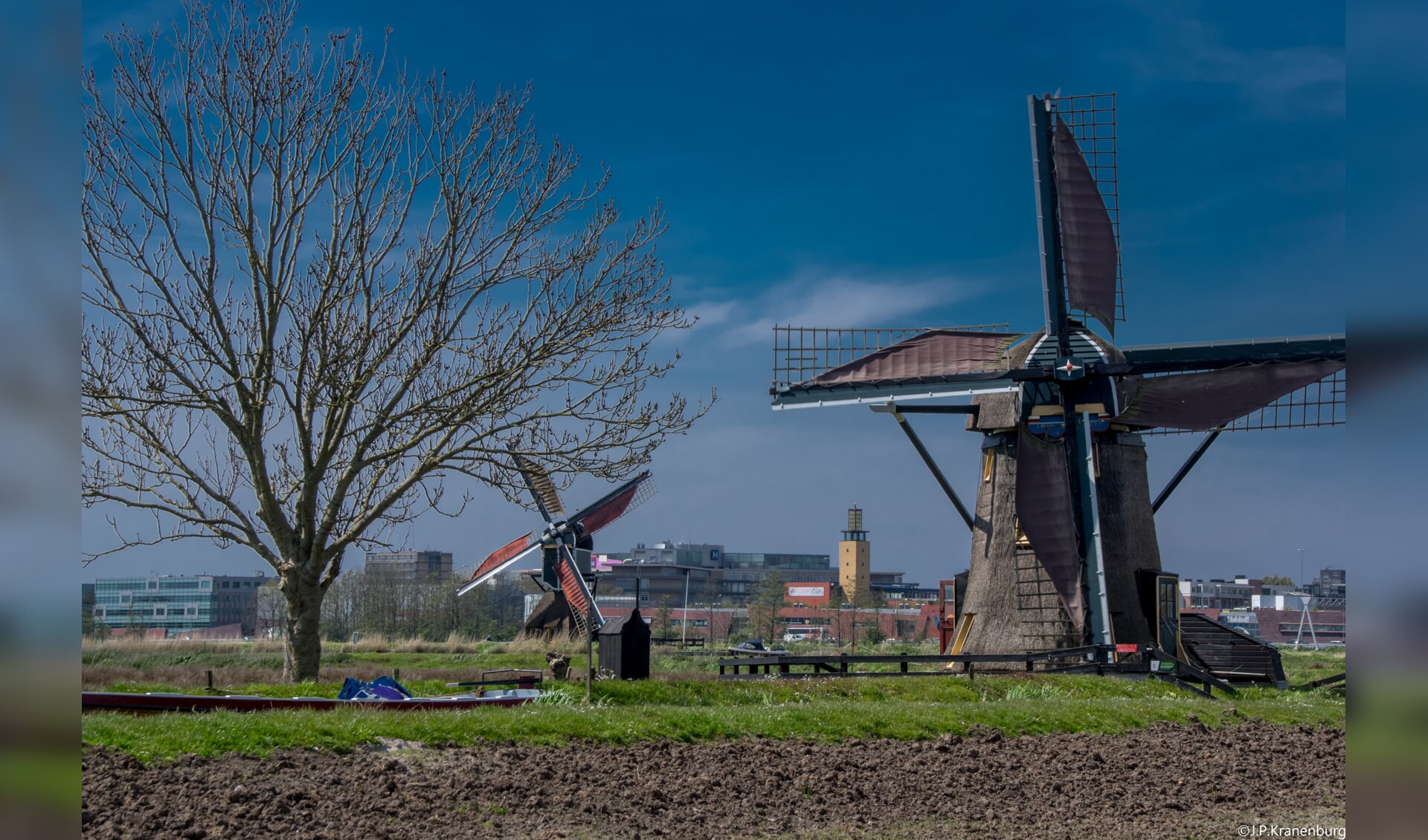 De molens in de Leiderdorpse Munnikkenpolder. | Foto: J.P. Kranenburg