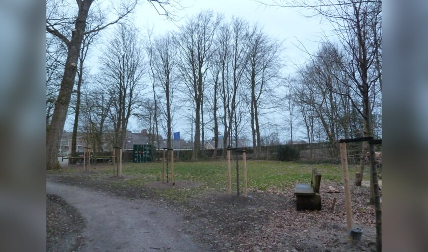 Een nieuw neefje, nichtje, kleinkind? Geef de kersverse ouders een babyboom in het Overbosch cadeau. | Foto: pr.
