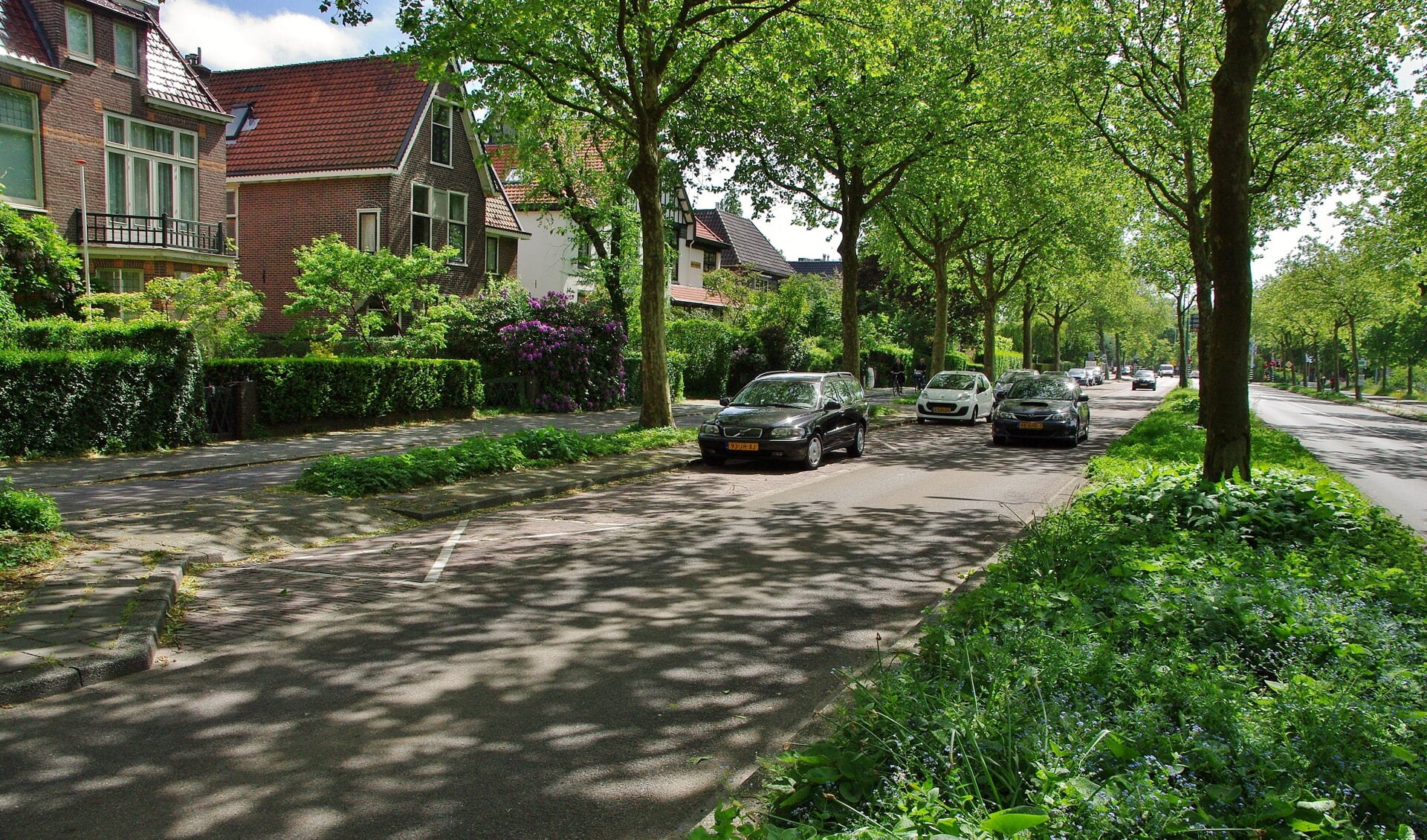 Bewoners van de Leidsestraatweg willen twee ontheffingen voor de toekomstige blauwe zone. | Foto Willemien Timmers