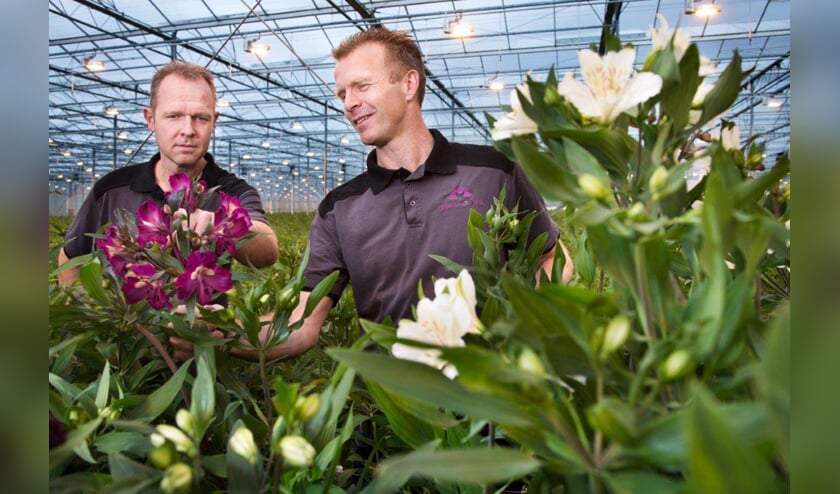 Fedor van Veen en Bernard Zuidgeest.