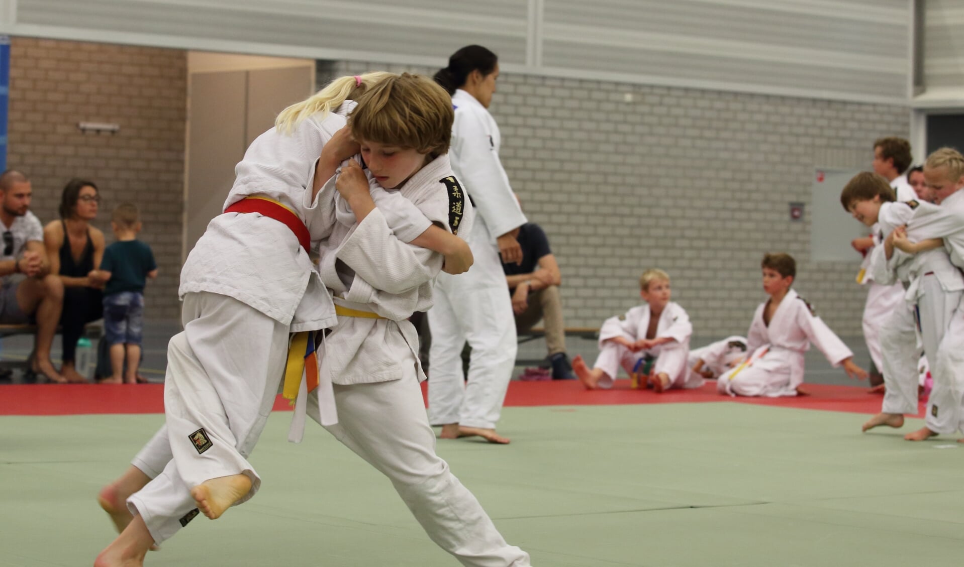 Op acht judomatten werd er zeer sportief gestreden voor de medailles. | Foto Karel David van der Gun