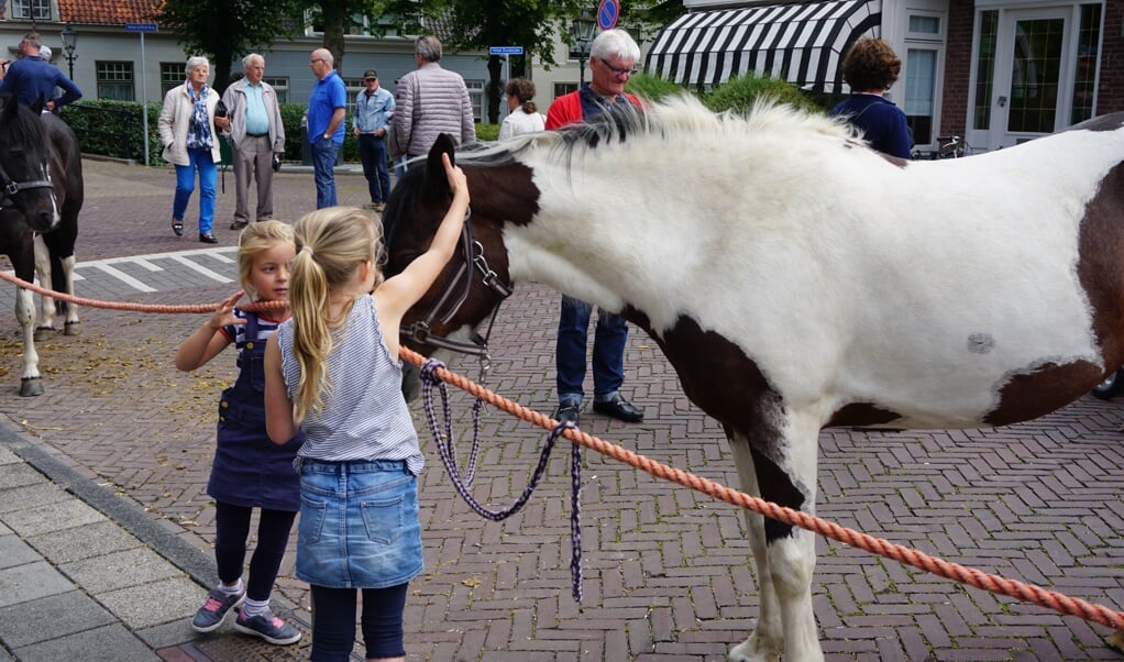 Paardenmarkt Rijnsburg Al het nieuws uit Katwijk, Rijnsburg en Valkenburg