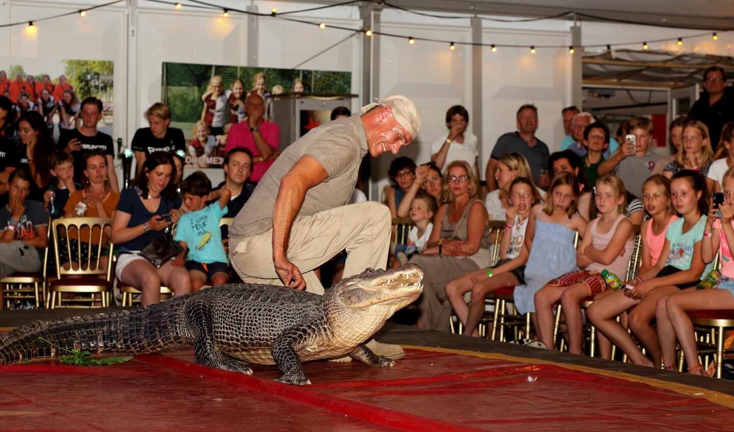 Toch wel een beetje eng met een krokodil in een circusact. | Foto Ed Patijn