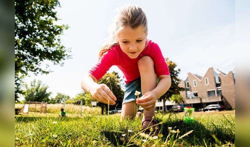 Ontdek de natuur in en rondom je tuin met de NatuurBingo.