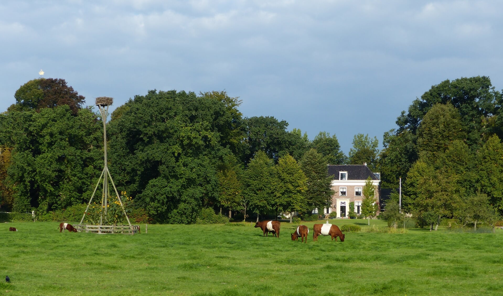 De Lakenvelders in het weiland op Landgoed Oostergeest. | Foto: pr.