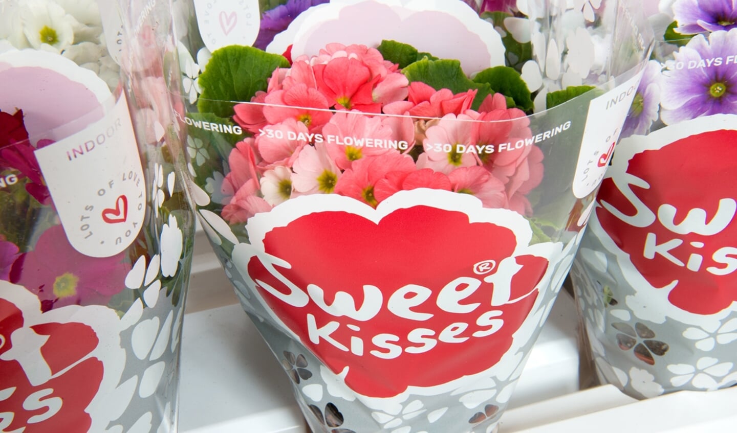Sweet kisses in vrolijke kleuren.