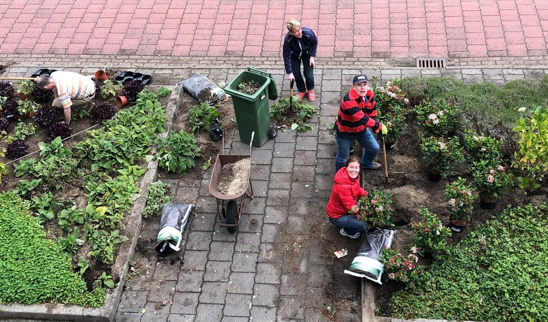 Een workshop wintertuinieren maakt deel uit van het palet aan activiteiten. Op 9 november van 14.30-16.30 uur in Bibliotheek Voorhout. | Foto: PR