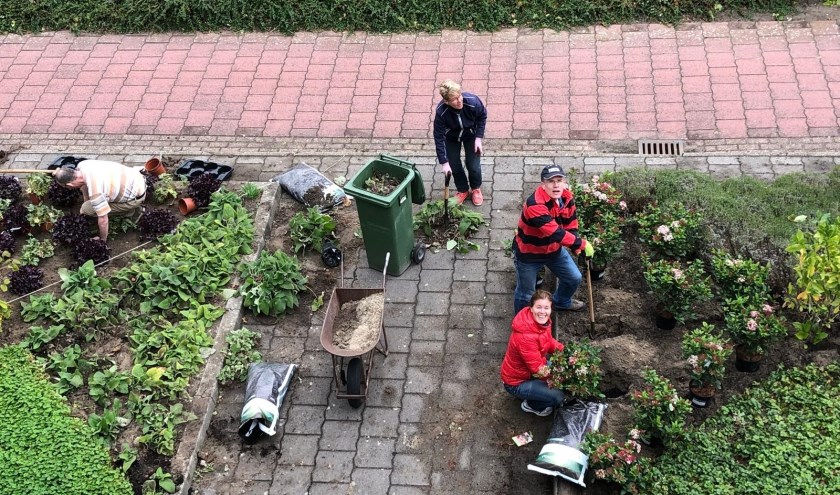 Een workshop wintertuinieren maakt deel uit van het palet aan activiteiten. Op 9 november van 14.30-16.30 uur in Bibliotheek Voorhout. | Foto: PR