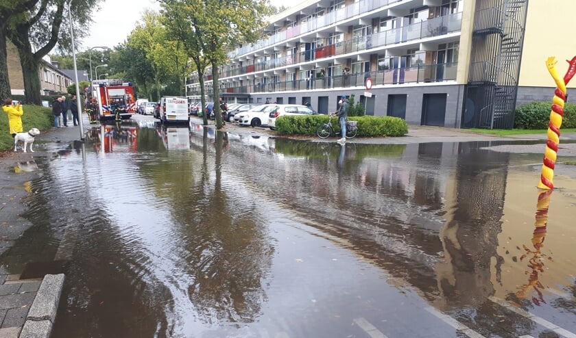 Arie van Duijn Fotografie