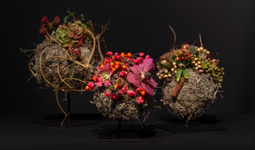 Arrangement Desiree Glasbergen