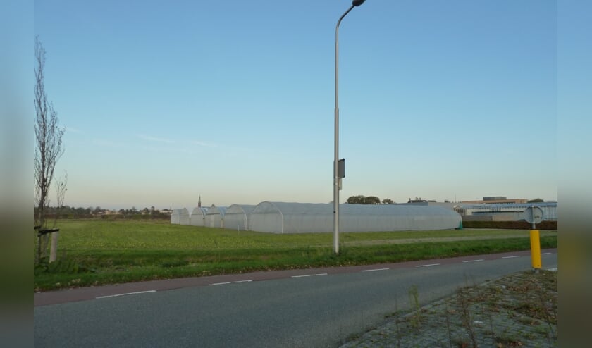 Het kassencomplex achter het pand van Hobaho aan de Prof. van Slogterenweg.