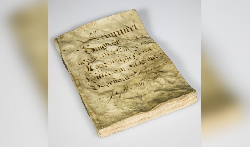 Het dingboek beschrijft allerlei criminele zaken uit de regio tussen 1698 en 1726, waar destijds mensen voor veroordeeld zijn.