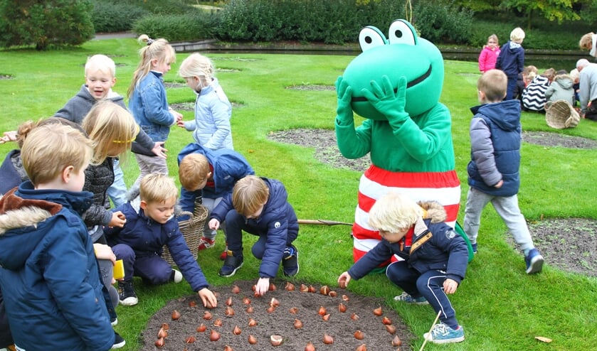 Kikker kijkt toe hoe de leerlingen van Kindercampus Joseph de tulpenbollen planten.