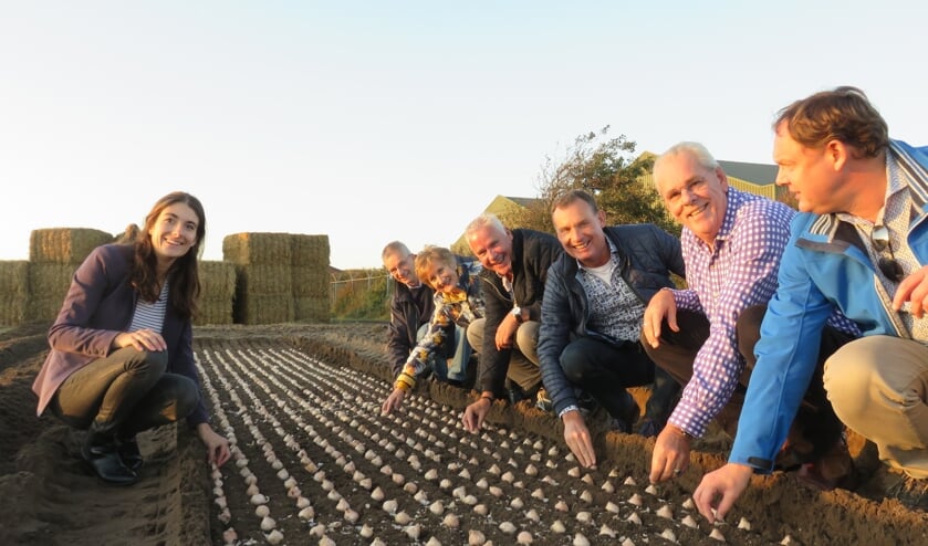 De bollen gaan de grond weer in. 25 april 2020 rijdt het corso door de streek. | Foto: pr