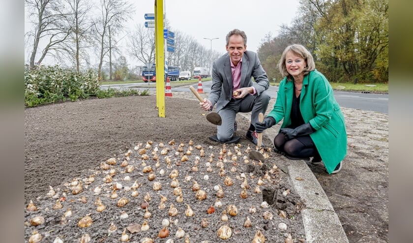 Bart Siemerink en Lies Spruit leggen de laatste hand aan de beplanting van de rotonde.