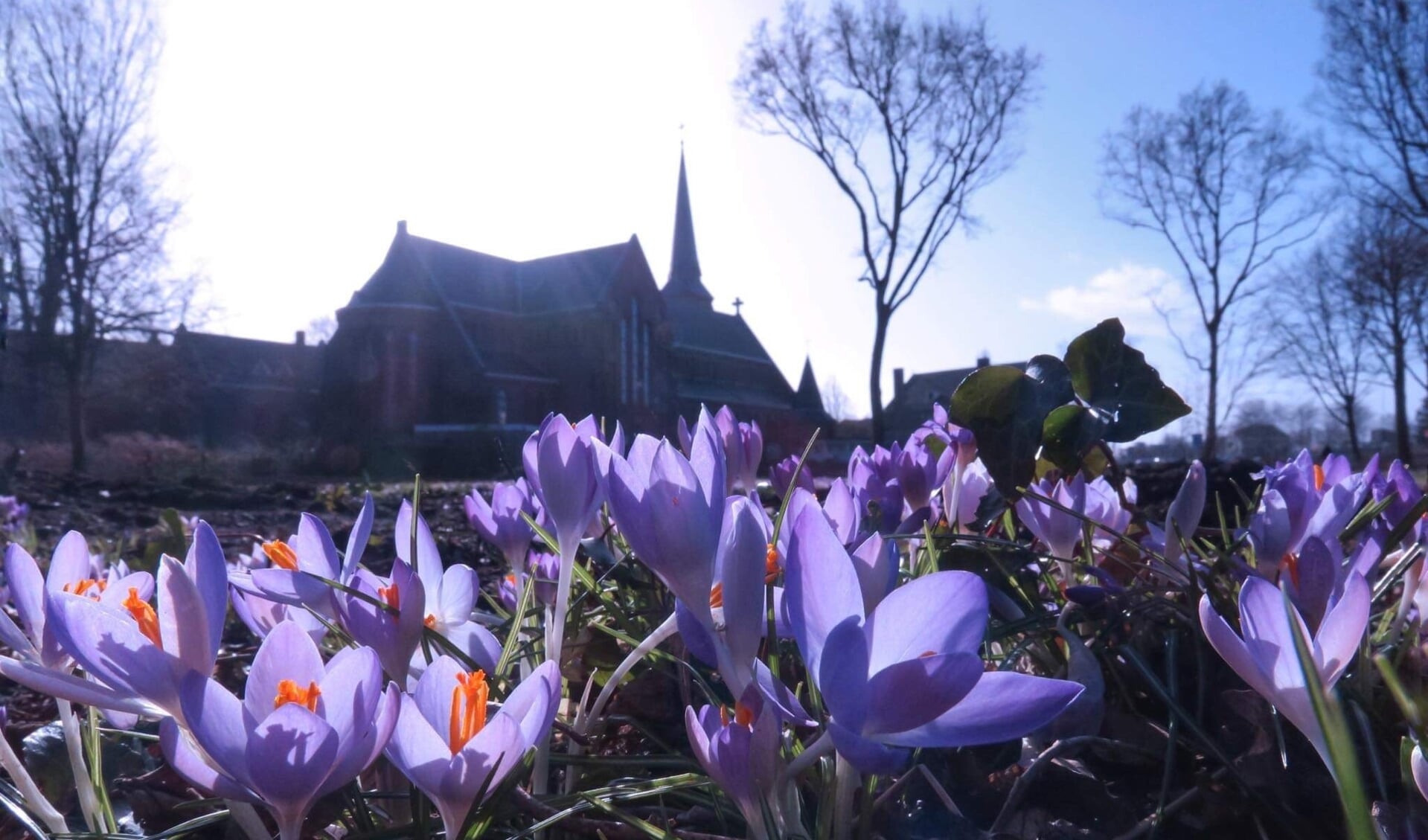 Deze prachtige foto is gemaakt door Tony Whelan en laat mooi zien hoe licht het is geworden op deze plek. 