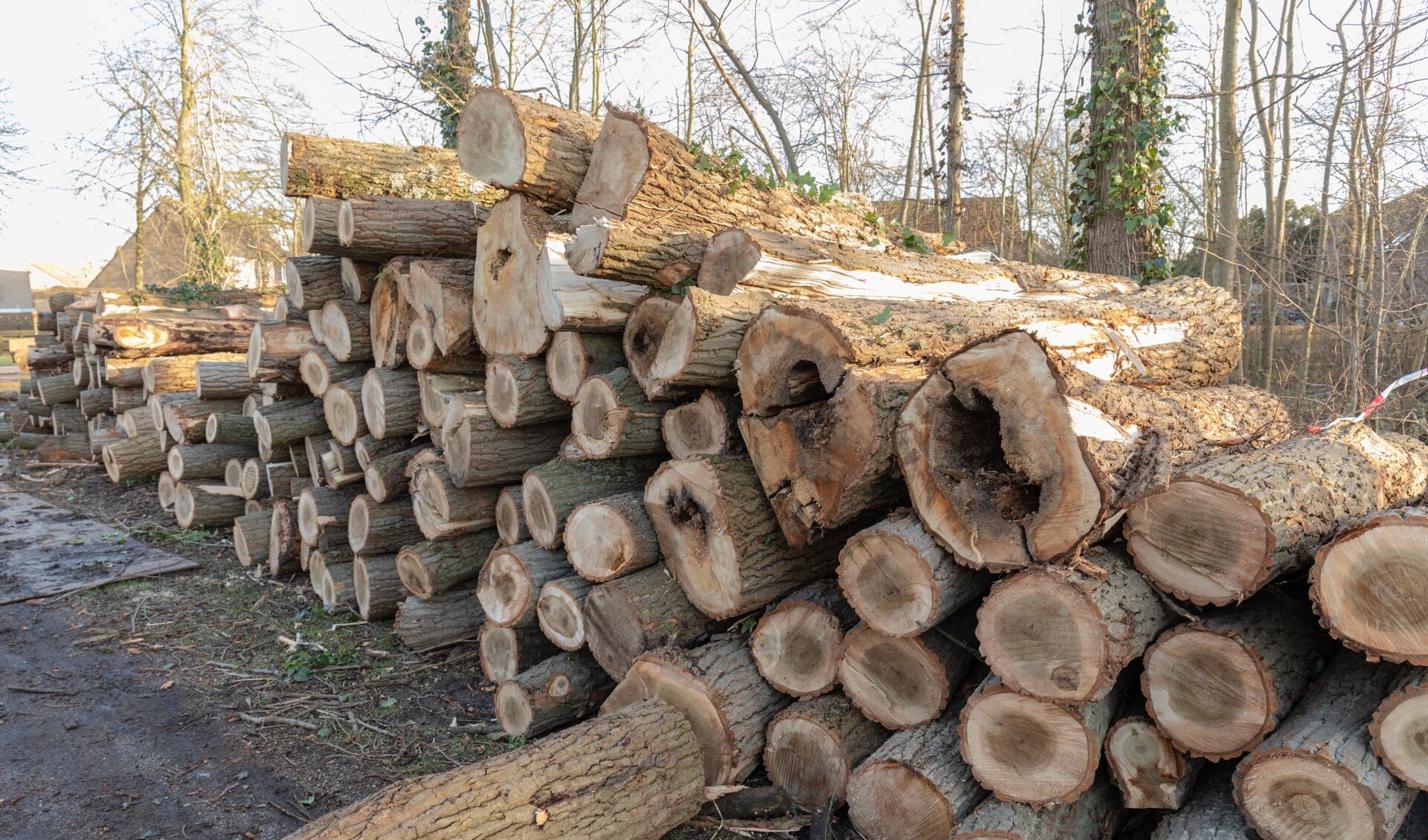Een flinke stapel pallethout ligt klaar aan de Haarlemmerstraatweg. | Foto Wil van Elk