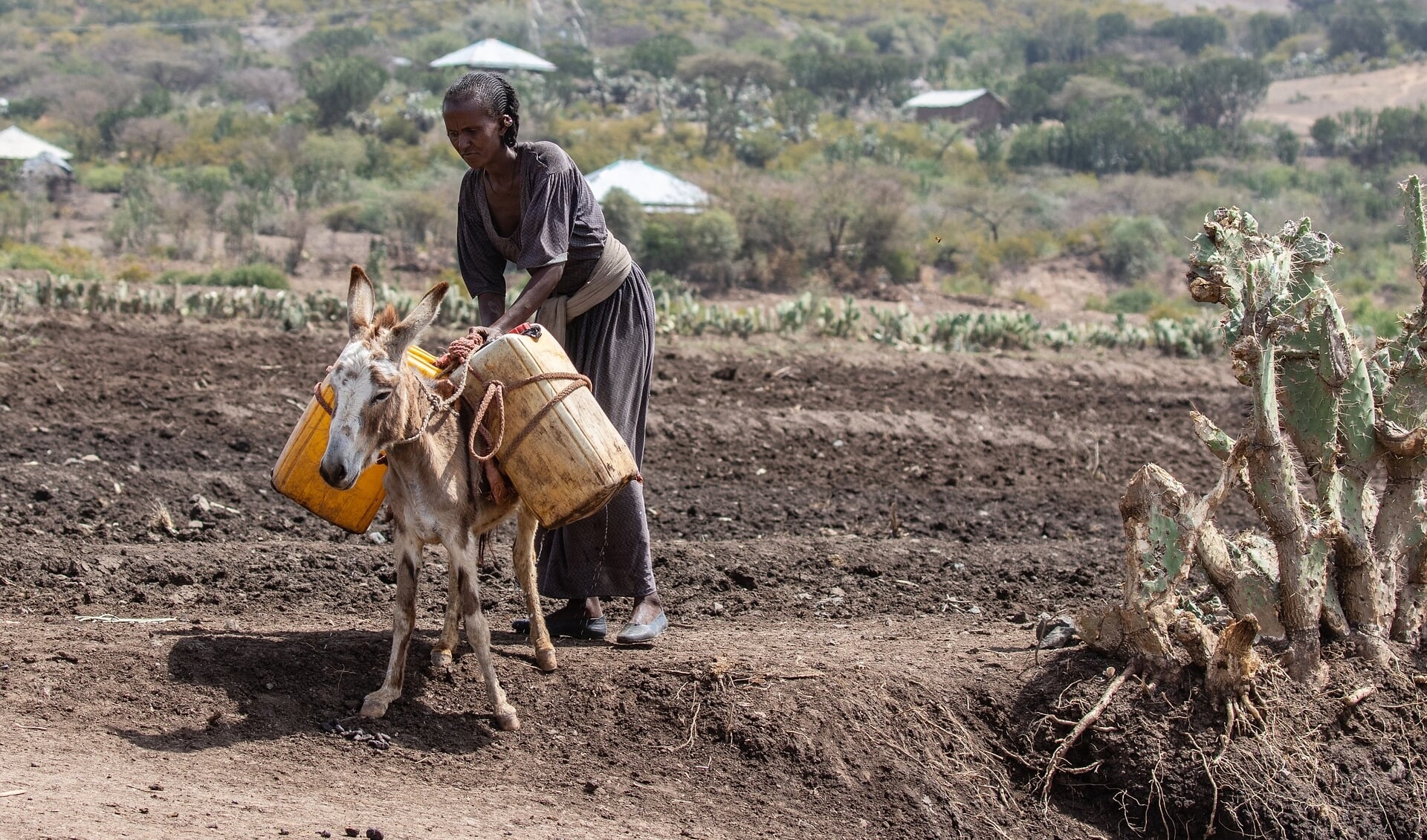 Met de opbrengst van Sam's Kledingactie kan Cordaid zorgen voor water en sanitair in Ethiopië onder het motto: Water voor meer weerbaarheid.