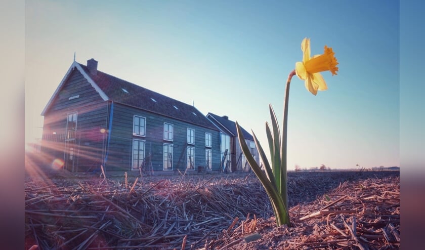 | Foto: Tony Whelan.