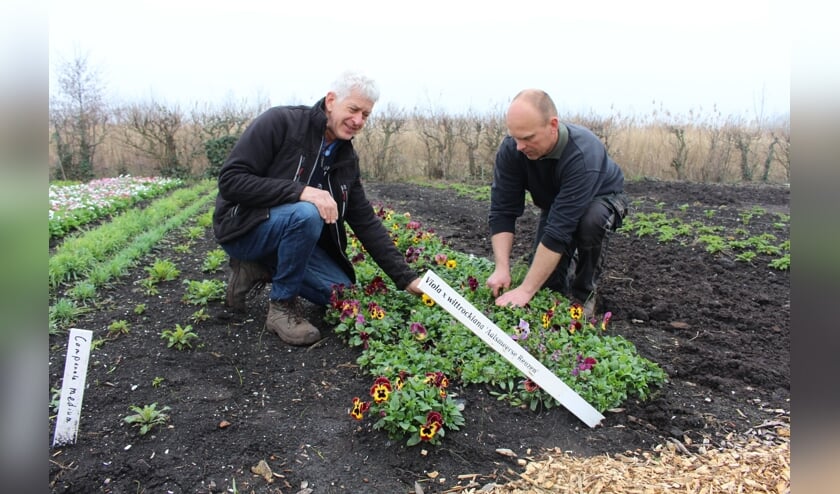 Verkoopdag Historische Tuin Aalsmeer