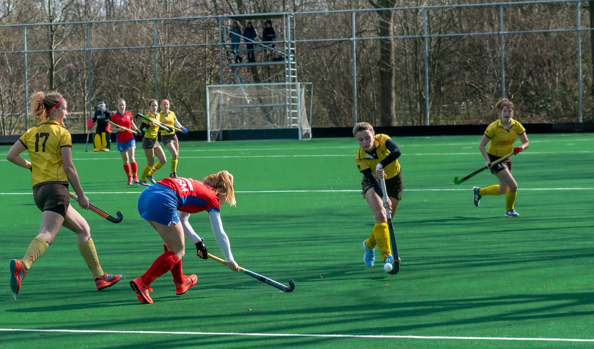 Carlijn Croon van Alecto aan de bal. | Foto: J.P. Kranenburg