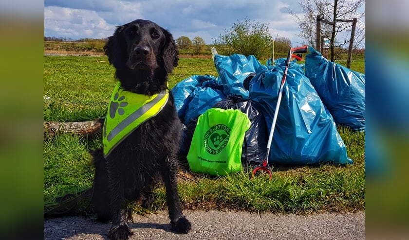 Ook hond Bongo deed mee met de schoonmaakactie. Hij haalde allerlei troep uit het water.