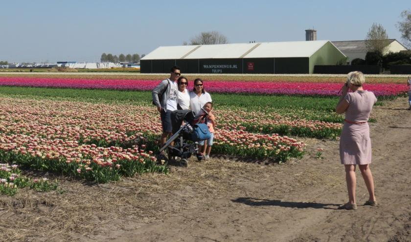 Om het maken van foto's op de bollenvelden goed te laten verlopen zijn vrijwilligers hard nodig. | Foto: PR