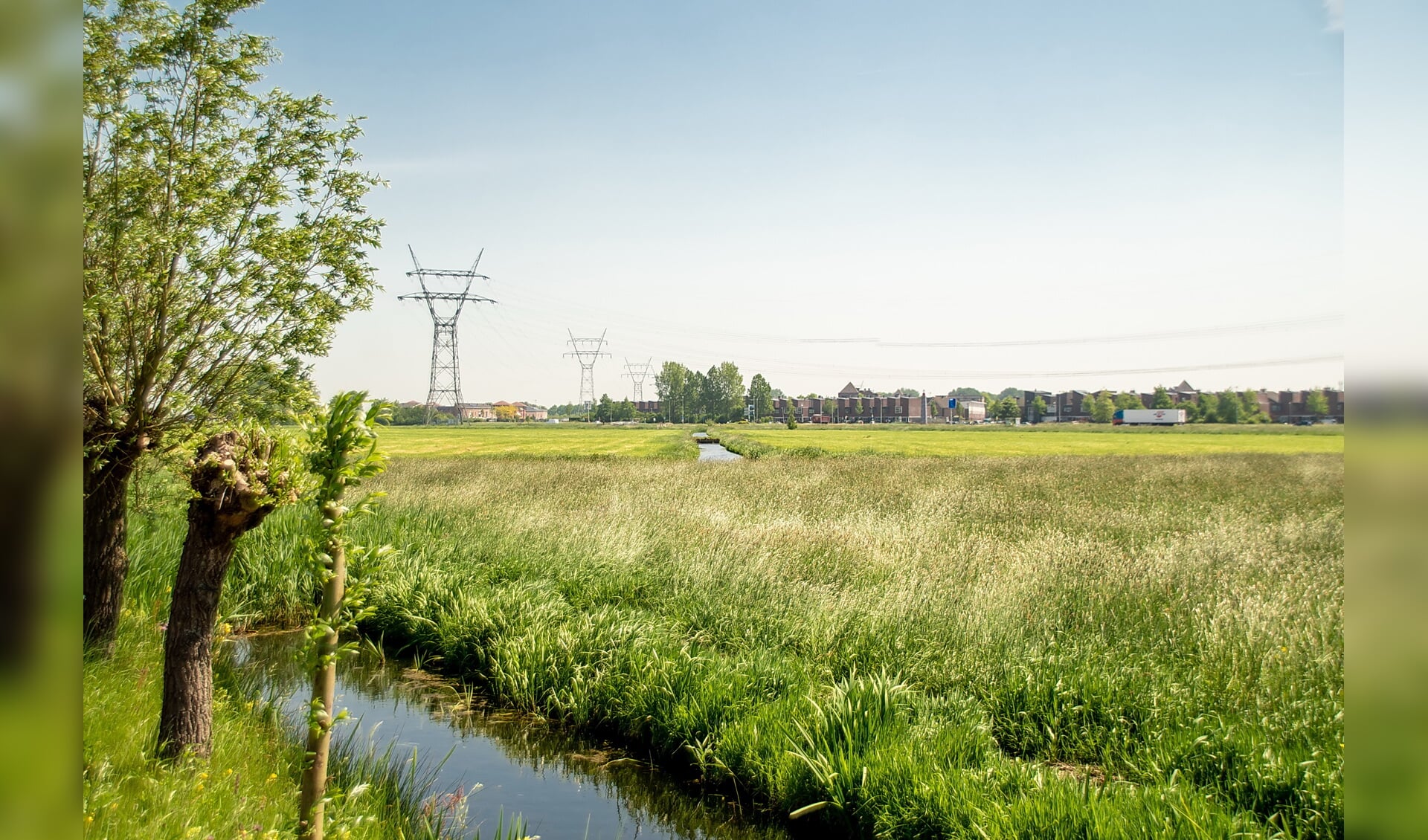 De Boterhuispolder half mei 2018, gezien vanaf de Nieuweweg. Op de voorgrond staat het gras hoog, op de achtergrond is gemaaid. 