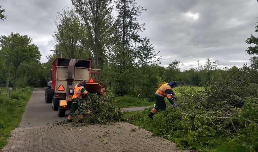 Het pas gesnoeide groen bij de wielerbaan verdwijnt in de shredder.