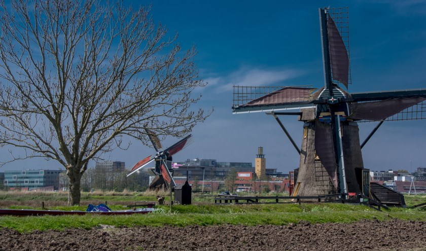 De molens in de Leiderdorpse Munnikkenpolder.