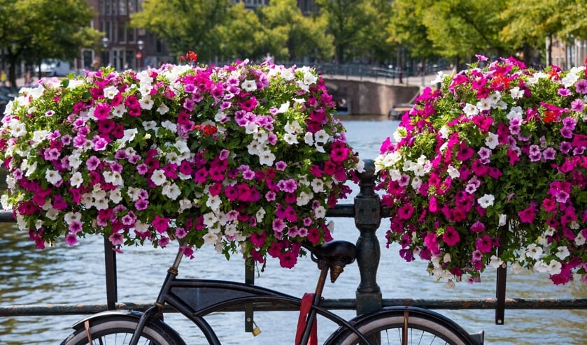 Traditional Dutch bike parked on an Amsterdam canal