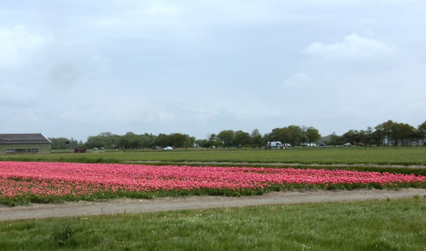 Woningzoekenden moeten geduld oefenen maar op deze plek in Bronsgeest wil de NWS tijdelijke woningen.