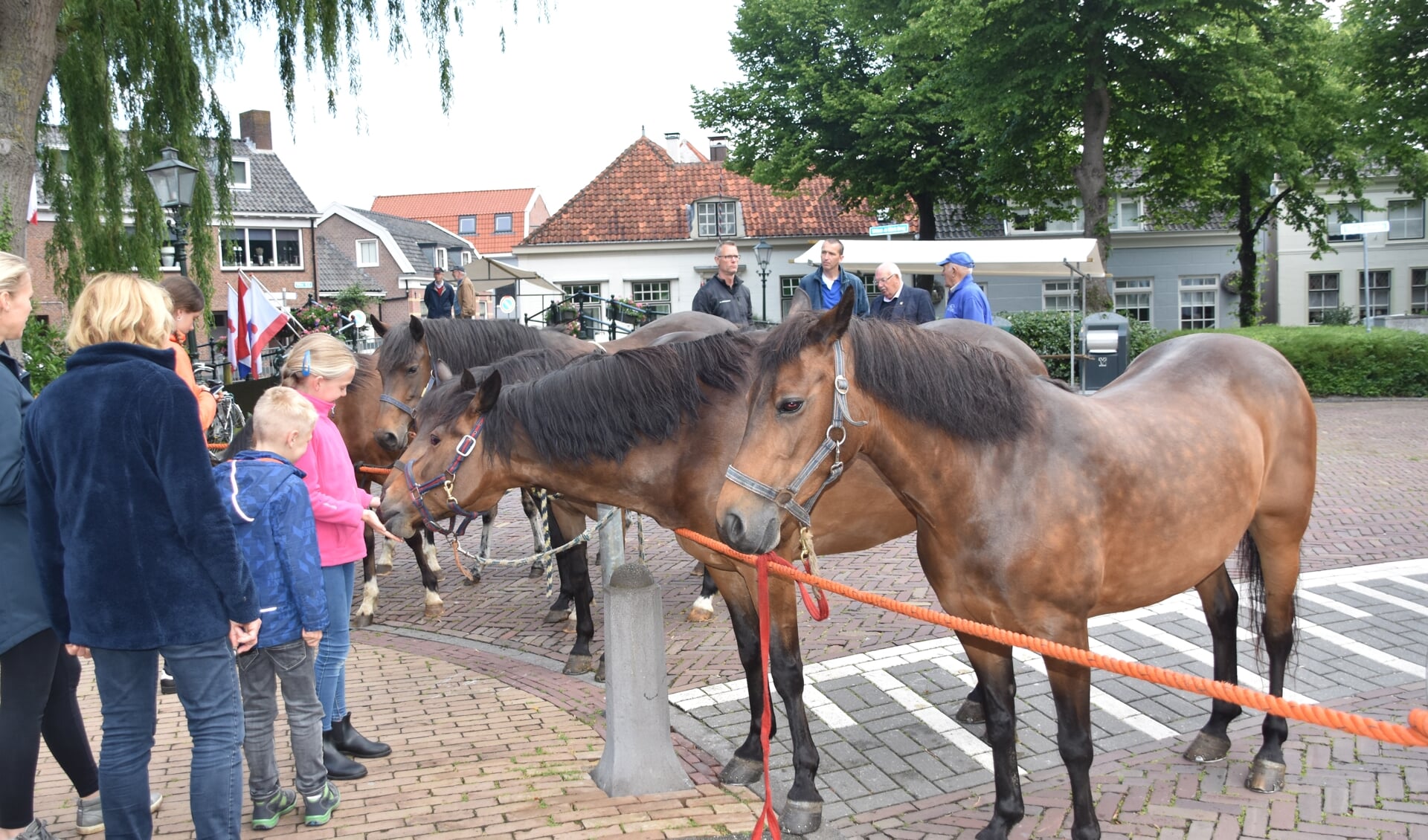 Vandaag staan de paarden centraal tijdens de Paardenmarkt. Maar er is meer te doen zoals de braderie, kermis en het ringsteken.