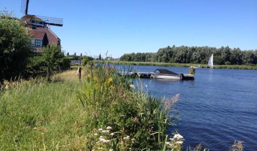 In 2018 hebben buurtbewoners en onderzoekers de vegetatiekwaliteit van 246 oevers in kaart gebracht. | Foto: archief