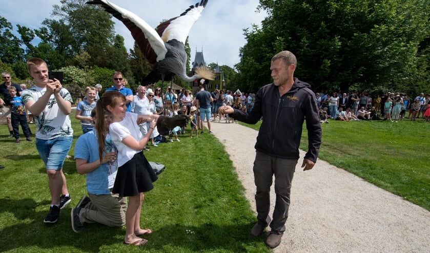 Laat de indrukwekkende vogels landen op je hand en bekijk ze van dichtbij. | Foto: pr.