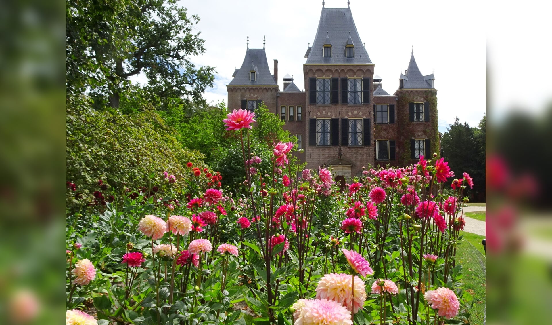 Vorig jaar waren dahlia's ook in vele soorten te bewonderen in de tuin van het kasteel. 