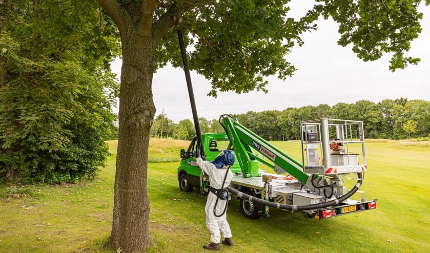 Eerst waren de bomen op de golfbaan aan de beurt.