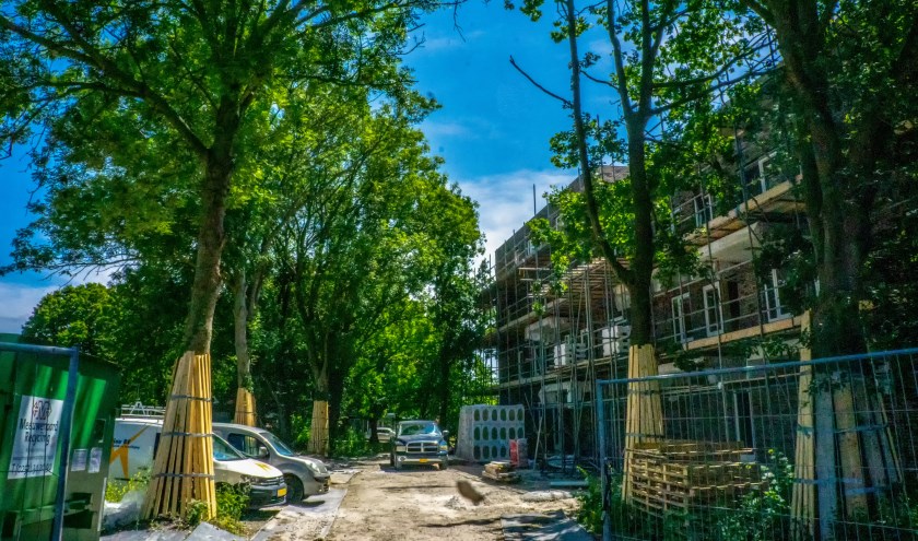 Om genoeg parkeerplaatsen te kunnen realiseren moeten aan de Brittenstein nog tien tot twaalf bomen geveld worden.
