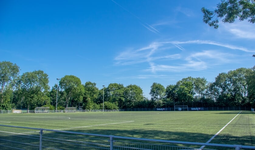 <p>RCL is alleen gebruiker van de voetbalvelden in De Bloemerd, het onderhoud en de vervanging komt voor rekening van de gemeente. </p>