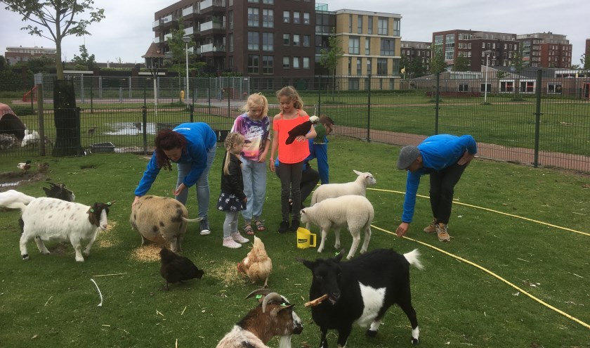 Vanmiddag is er een open middag op de dierenweide in Westerhaghe.