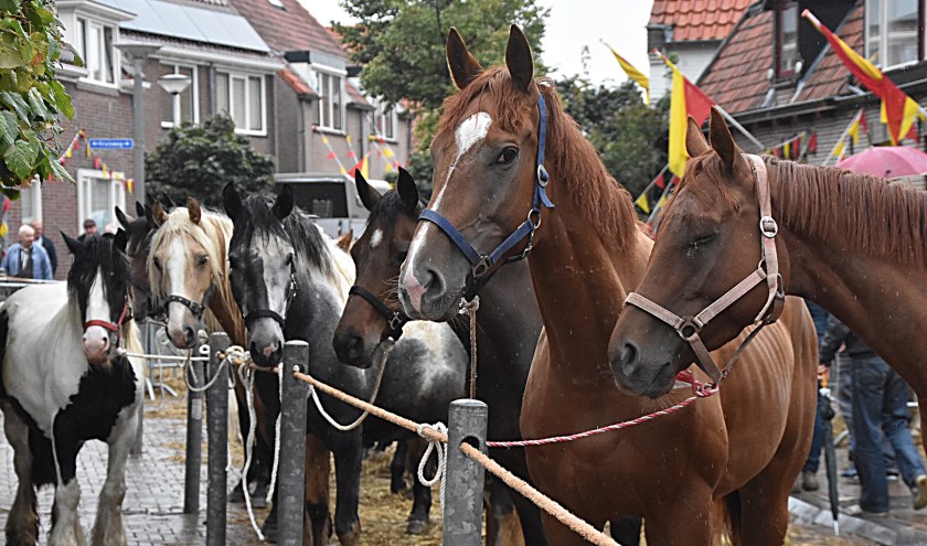 Paarden en mensen lieten zich door de regen niet storen.