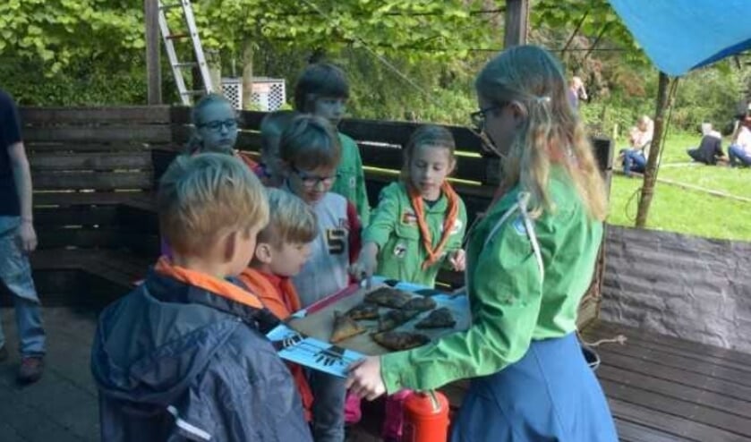 Lekker buiten bezig zijn, dat kan bij de outdoor workshops van de Lisser Kaninefaten.