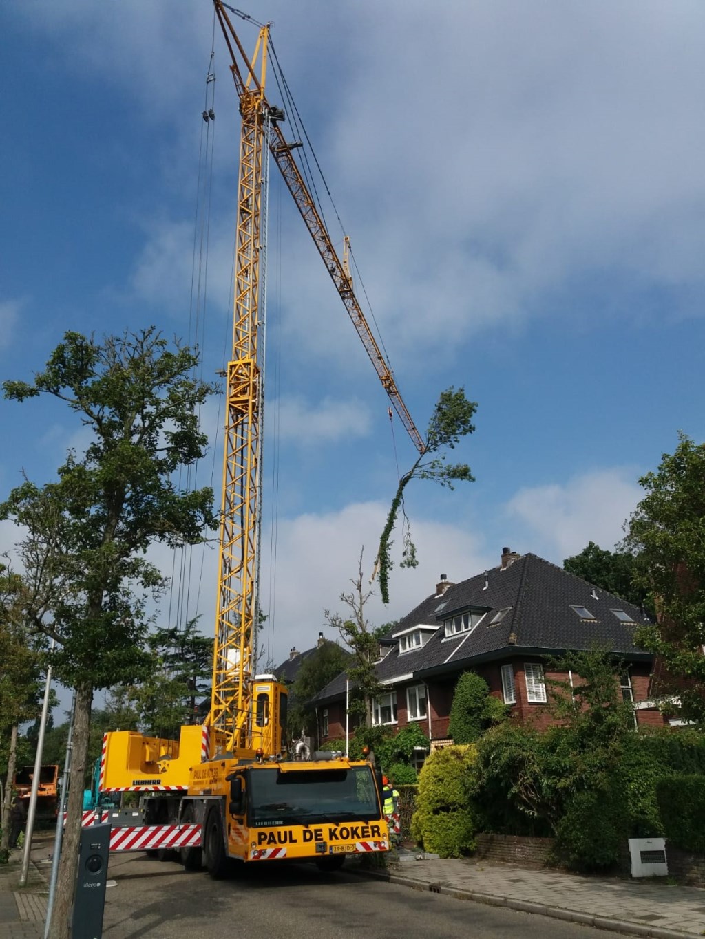 Een aantal weken geleden werd al een omgevallen boom uit het bos getakeld.